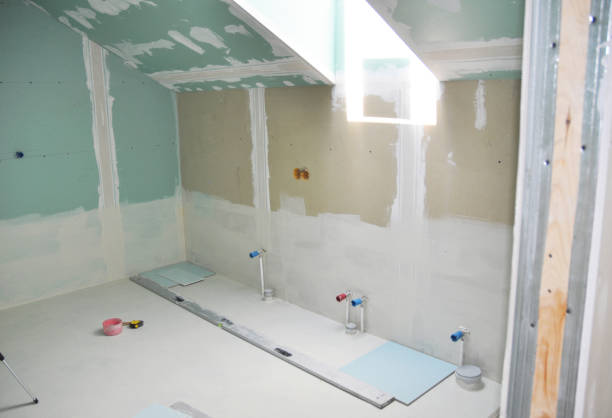 Best Mold-Related Health Consultation  in Phoenix Lake, CA