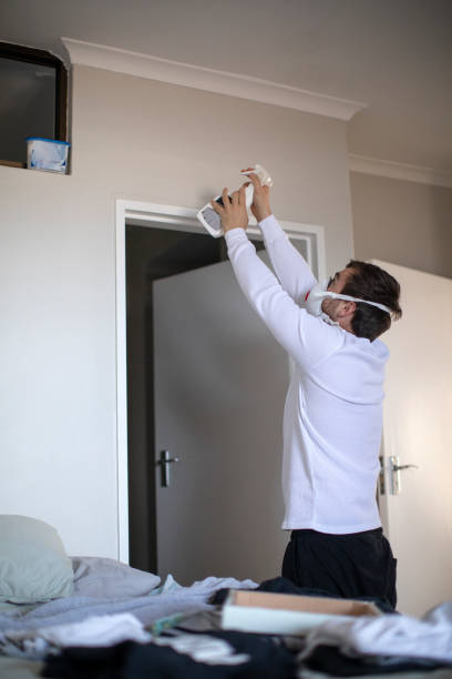 Professional Mold Removal in Phoenix Lake, CA