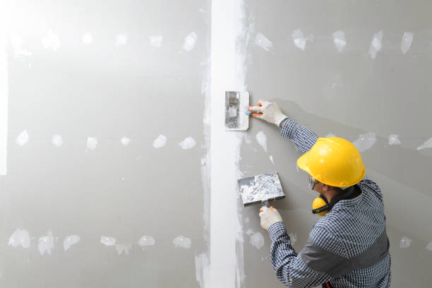 Best Residential Mold Inspection & Testing  in Phoenix Lake, CA