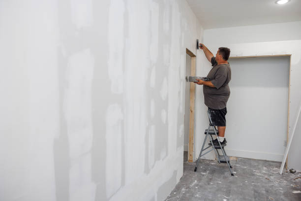 Best Real Estate Mold Inspection  in Phoenix Lake, CA