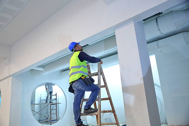 Best Crawl Space Mold Remediation  in Phoenix Lake, CA